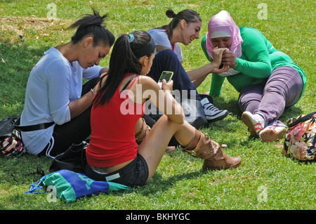 Junge Leute und Studenten unter Bäumen auf grünen Rasenflächen im öffentlichen Park Piazza della Pace-Parma-Italien Stockfoto