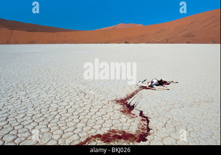 Toten Springbok hinterlässt eine Spur von Blut auf weiß-Ton-Pfanne im Deadvlei. Wahrscheinlich angegriffen Schakale in der Nacht, Namibia Stockfoto