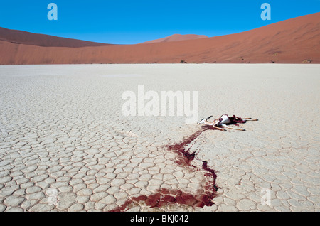 Toten Springbok hinterlässt eine Spur von Blut auf weiß-Ton-Pfanne im Deadvlei. Wahrscheinlich angegriffen Schakale in der Nacht, Namibia Stockfoto