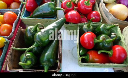 Frisch gepflückt Bio Paprika auf dem Display am Bauernmarkt. Stockfoto