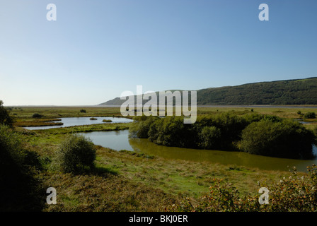 Marian Mawr Pools mit der Dyfi-Flussmünde dahinter, Ynys Hir RSPB Nature Reserve, Powys, Wales, Großbritannien. Stockfoto