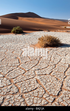 Trockenes Flussbett verlässt eine Craquelure Wirkung in der weißen Ton in Sossusvlei, Namibia Stockfoto