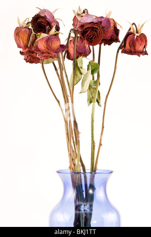Eine Vase mit getrockneten langen Stiel rote Rosen Stockfoto