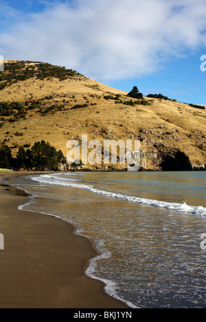 Le Bons Bucht, in der Nähe von Akaroa auf der Banks Peninsula in der Nähe von Christchurch, Neuseeland Stockfoto