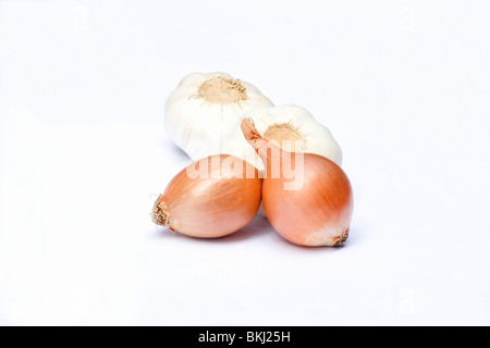 Zwei Zwiebeln und zwei Knoblauchknollen auf weißem Hintergrund Stockfoto