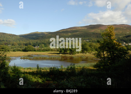 Agrarland, überschwemmt, um Feuchtbiotop zu schaffen, Ynys Hir RSPB Nature Reserve, Powys, Wales, Großbritannien. Stockfoto