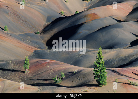 USA, California, Lassen Park, Schlackenkegel Bereich, malte Dünen, Ponderosa Pines in bunten Cinder Feld. Stockfoto