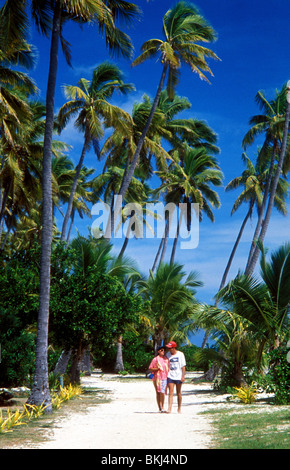 Plantage Insel Fidschi Stockfoto