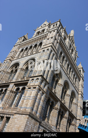 Ostturm des Natural History Museum in South Kensington in London. Stockfoto