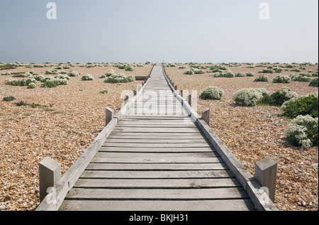 Ein Holzsteg führt über den Kiesstrand in Richtung Meer bei Dungeness Kent UK Stockfoto