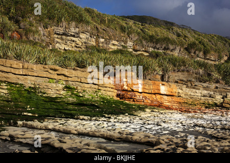 Rapahoe Beach an der Westküste von der Nordinsel Neuseelands Stockfoto