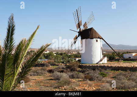 Die restaurierte Windmühle im Dorf von La Corte, in der Nähe von Antigua auf der Kanarischen Insel Fuerteventura Stockfoto