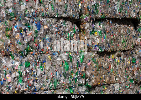 PET Plastikflaschen, zerkleinert und gepresst für recycling, Charleston, South Carolina Stockfoto