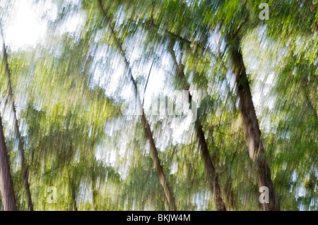 Bewegungsunschärfe aufgenommen beim Schwingen in Hängematte Stockfoto