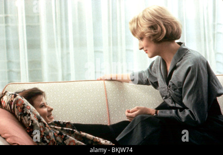 VIELE (1985) TRACEY ULLMAN, MERYL STREEP PLTY 009 Stockfoto