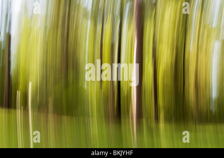 Bewegungsunschärfe aufgenommen beim Schwingen in Hängematte Stockfoto