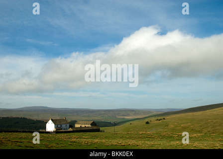 Einem entlegenen Bergbauernhof in der Nähe von Garrigill, Alston, Cumbria, England, UK.  Hinter ist Cross fiel, der höchste Punkt der Pennine Hills. Stockfoto