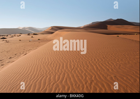 Big Daddy Dünen im Sossusvlei eine der höchsten Dünen der Welt, Namibia Stockfoto