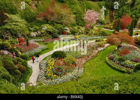 Sunken Garden und Touristen in den Butchart Gardens im Frühling-Victoria, British Columbia, Kanada. Stockfoto