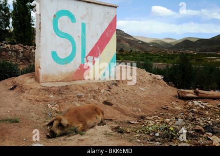 Szene aus der kleinen Stadt Macha im bolivianischen Hochland. Stockfoto