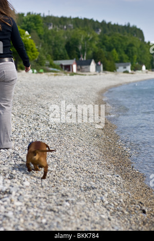 Eine Frau und Hund zu Fuß entlang einer felsigen Strand Nähe Wasserrand. Stockfoto