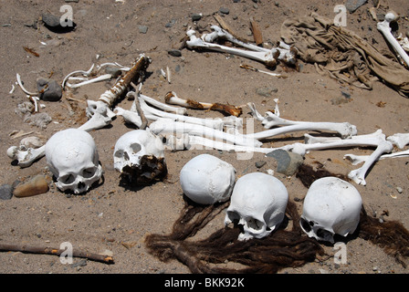 Schädel in geraubte Nazca-Wüste Friedhof, Nazca, Peru, Südamerika Stockfoto