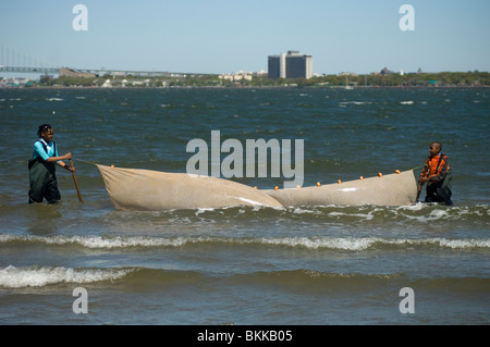 Studenten testen die Qualität des Wassers und der Gewässer für das marine Leben in Coney Island Creek in Brooklyn in New York suchen Stockfoto
