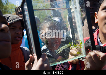 Studenten testen die Qualität des Wassers und der Gewässer für das marine Leben in Coney Island Creek in Brooklyn in New York suchen Stockfoto