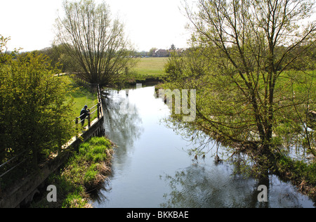 Themse in der Nähe von Cricklade, Wiltshire, England, UK Stockfoto