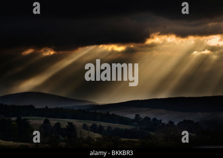 Sonnenstrahlen durchbrechen Gewitterhimmel, aufgenommen am frühen Abend in der Nähe von Invershin, mit Blick auf den Kyle of Sutherland, Schottland Stockfoto