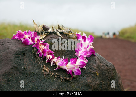 Kuhaniloko State Park auf Oahu, Hawaii ist die Website des Heiligen Geburt Steinen von hawaiianischen Häuptlinge und Könige verwendet. Stockfoto