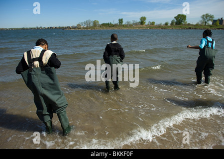 Studenten testen die Qualität des Wassers und der Gewässer für das marine Leben in Coney Island Creek in Brooklyn in New York suchen Stockfoto