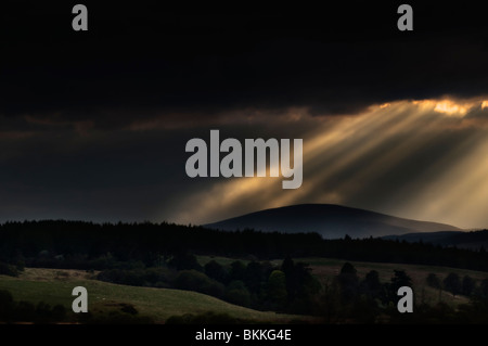 Sonnenstrahlen durchbrechen Gewitterhimmel, aufgenommen am frühen Abend in der Nähe von Invershin, mit Blick auf den Kyle of Sutherland, Schottland Stockfoto