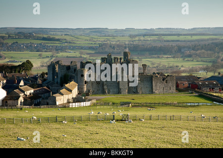 Middleham Castle in Yorkshire Dales, Uk Stockfoto