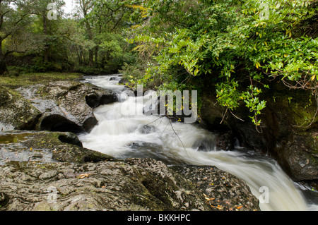 Buchanty Auslauf Wasserfall auf die Fluss-Mandel, bei Buchanty, B8063 in Perthshire, Schottland, berühmt für die Anzeige von springenden Lachs Stockfoto