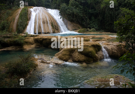 Agua Azul Wasserfälle in Tumbala, Chiapas, Mexiko, 20. Februar 2010. Stockfoto