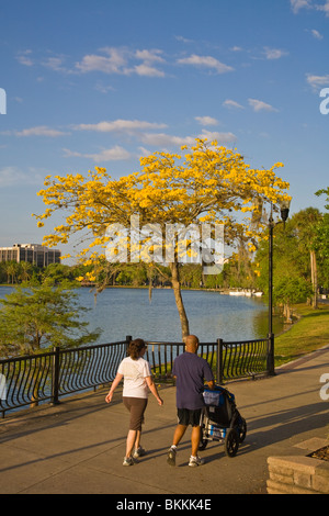 Park rund um Lake Eola in der Innenstadt von Orland Florida Stockfoto