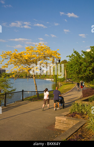 Park rund um Lake Eola in der Innenstadt von Orland Florida Stockfoto