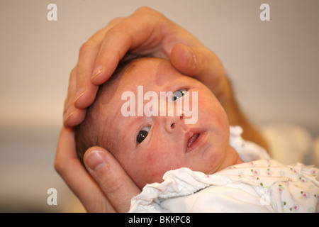 Zwei Wochen altes baby Stockfoto