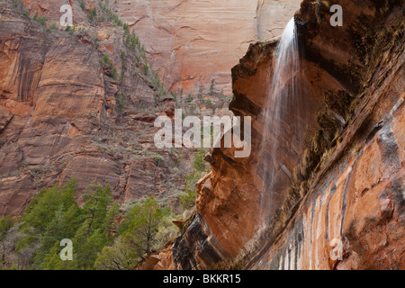 Wasserfall im Zion Nationalpark, Utah, USA Stockfoto