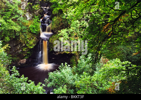 Ness Holz Wasserfall auf dem Fluss Burntollet, County Derry, Nordirland Stockfoto