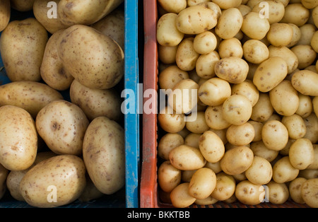 Große Backkartoffeln und kleine neue oder Salat, Kartoffeln in einem Markt, UK verkaufen. Stockfoto