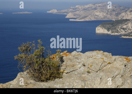 Rockies Einlass Marseille Cassis Meer Mittelmeer Provence Frankreich-Küste Stockfoto