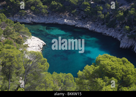 Rockies Einlass Marseille Kiefer Baum Cassis Meer Mittelmeer Provence Frankreich Stockfoto