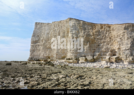 Reine Kreide Felswand in Seaford Head East Sussex England UK Stockfoto