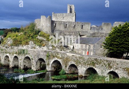 Glanworth Burg und 15. Jahrhundert mittelalterliche Brücke, County Cork, Irland-Eire irischer Burgen Brücken Flüsse River Funshion Stockfoto