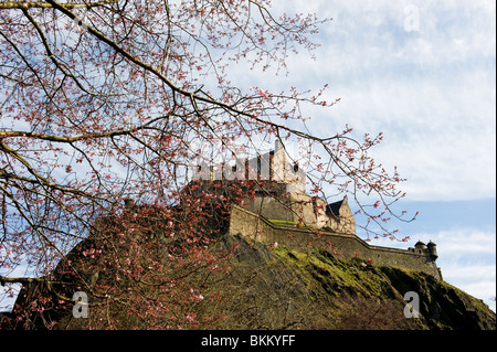 Edinburgh Castle in Frühlingssonne Stockfoto