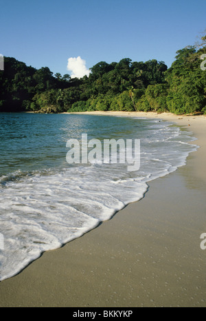 Manuel Antonio Nationalpark, Costa Rica. Stockfoto