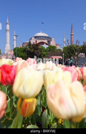 Türkei, Istanbul, Sultanahmet, Frühling, Aya Sofya, Aya, Sophia Stockfoto