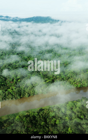 Wolken über Wald, Nationalpark Tortuguero, Costa Rica. Stockfoto